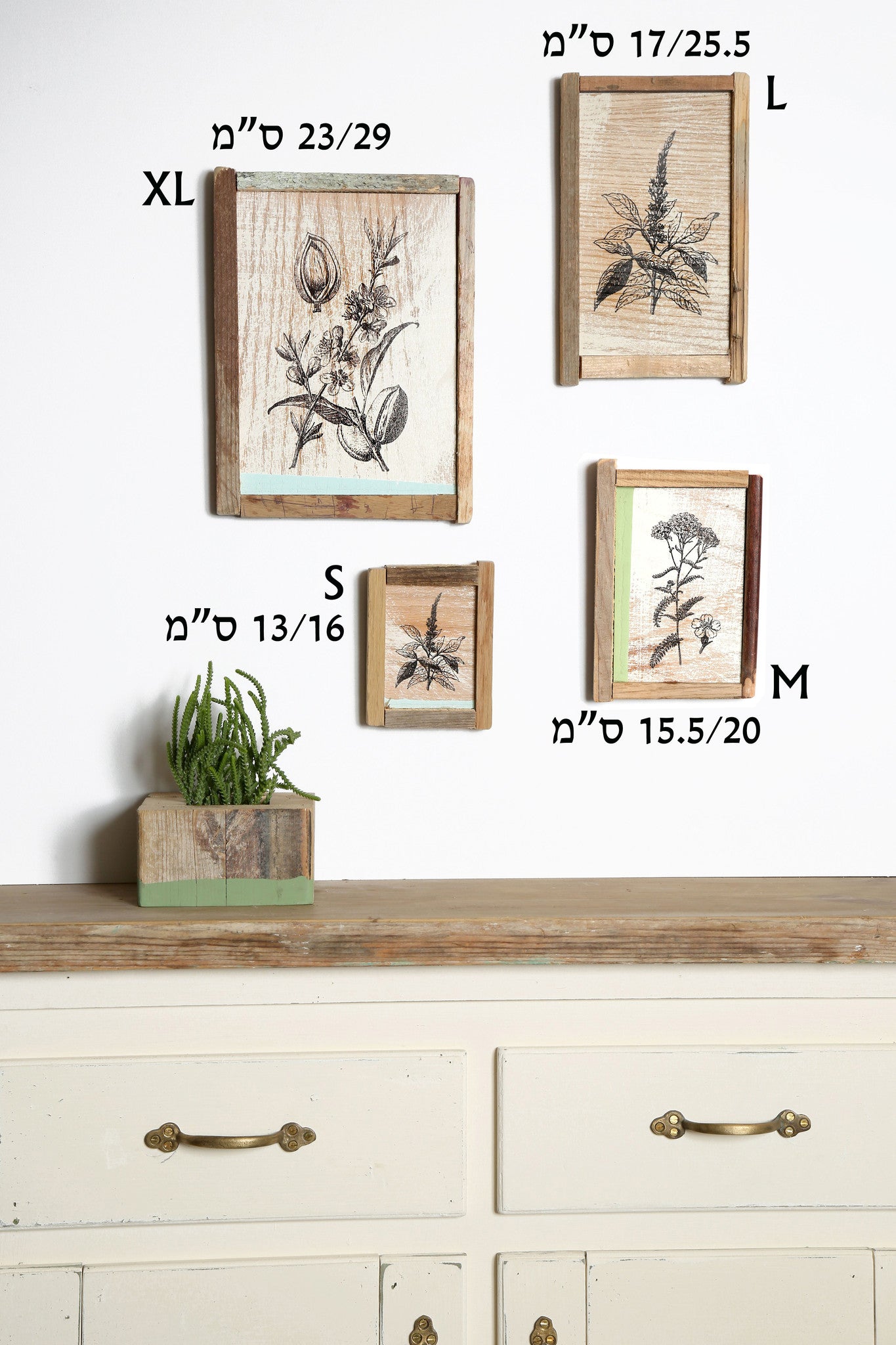 קולאז' תמונות על עץ - בוטני