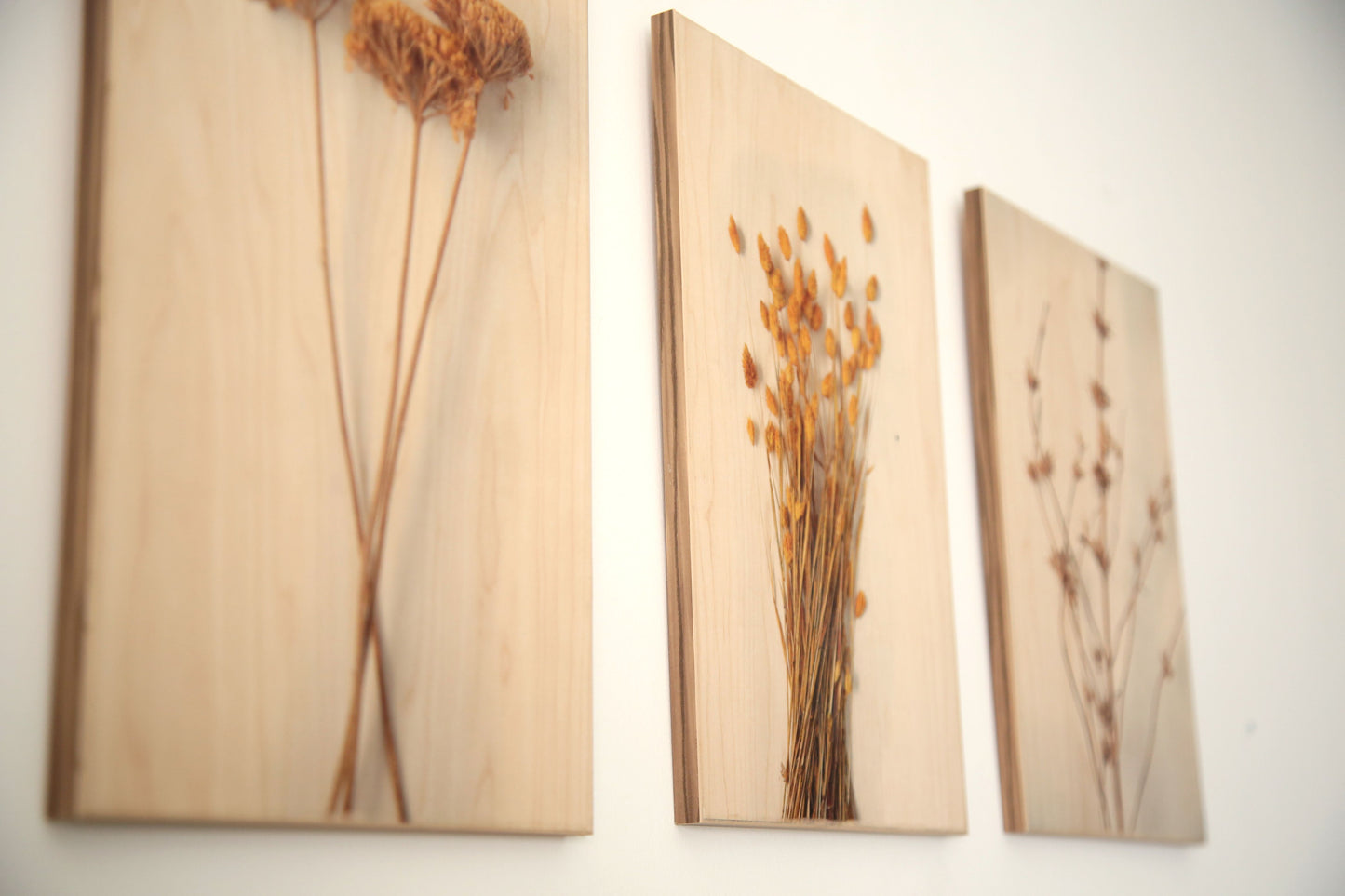 תמונות על עץ - סדרת הטיבעית - 3 תמונות